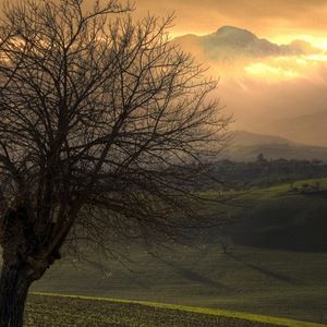 Meet your Posher, Micah